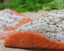 Вкусная засолка лосося в домашних условиях - рецепт, особенности приготовления и рекомендации