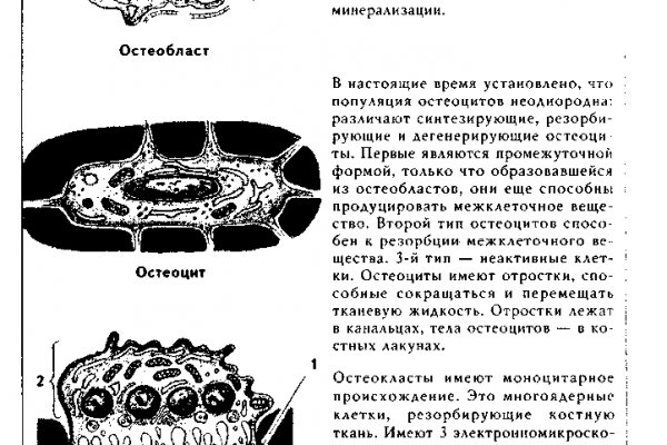 Сайты типа гидры