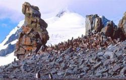 Геологическое строение, рельеф и полезные ископаемые Почему в антарктиде не добывают полезные ископаемые